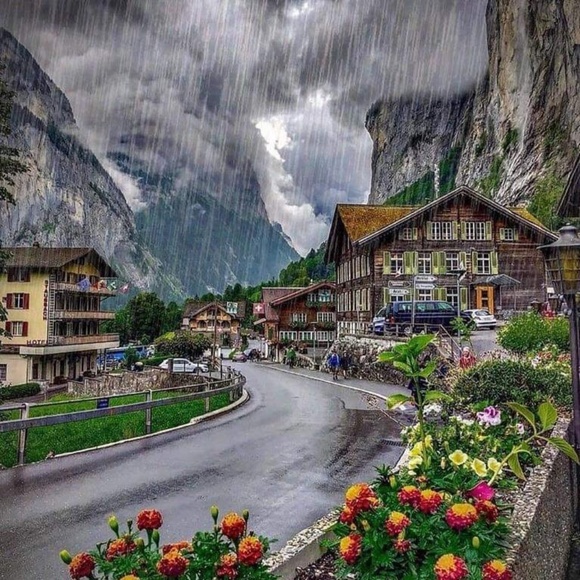 Meet your Posher, Rachel - Picture 1 of 1